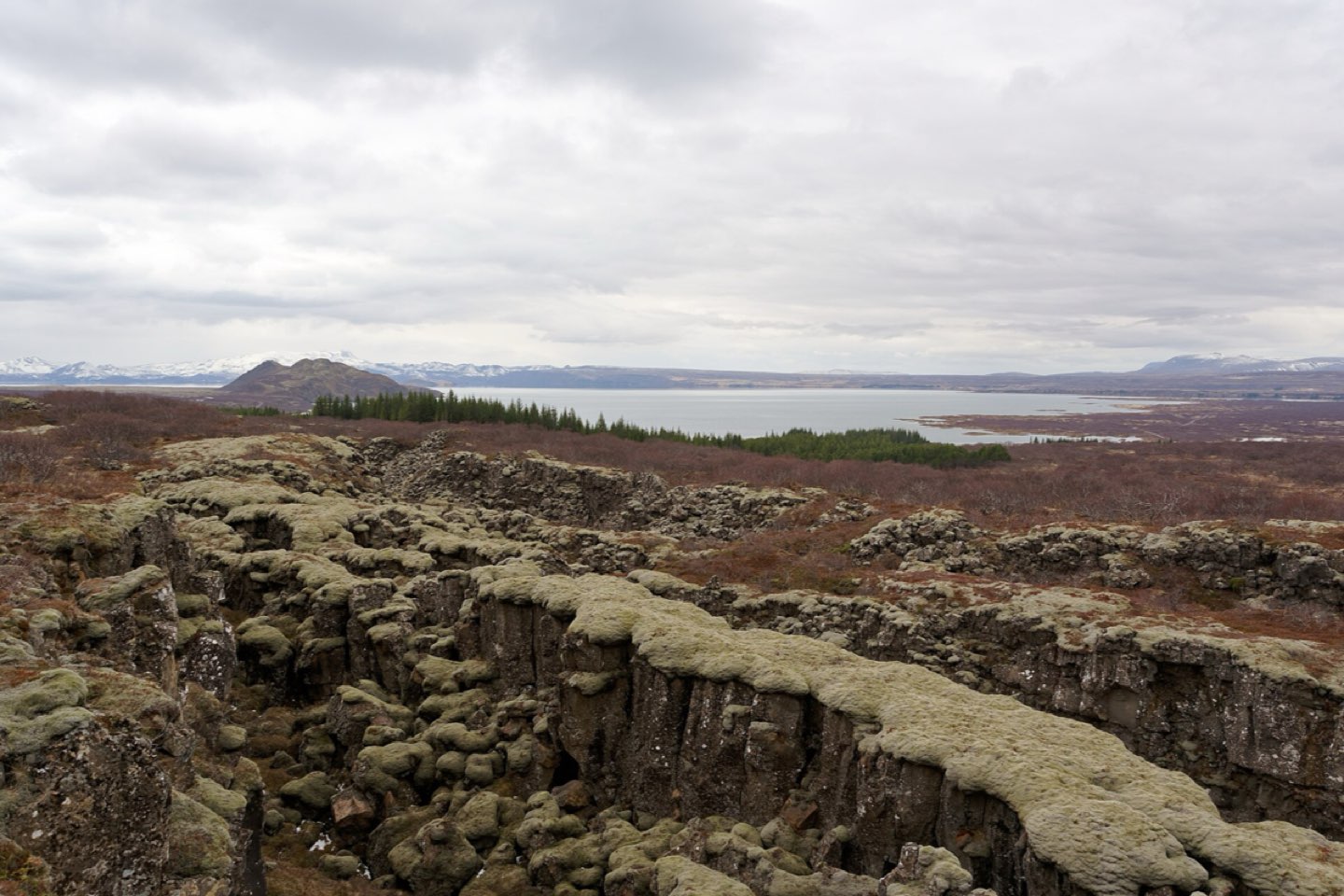 Moss-covered lava fissures in Þingvellir with Lake Þingvallavatn behind