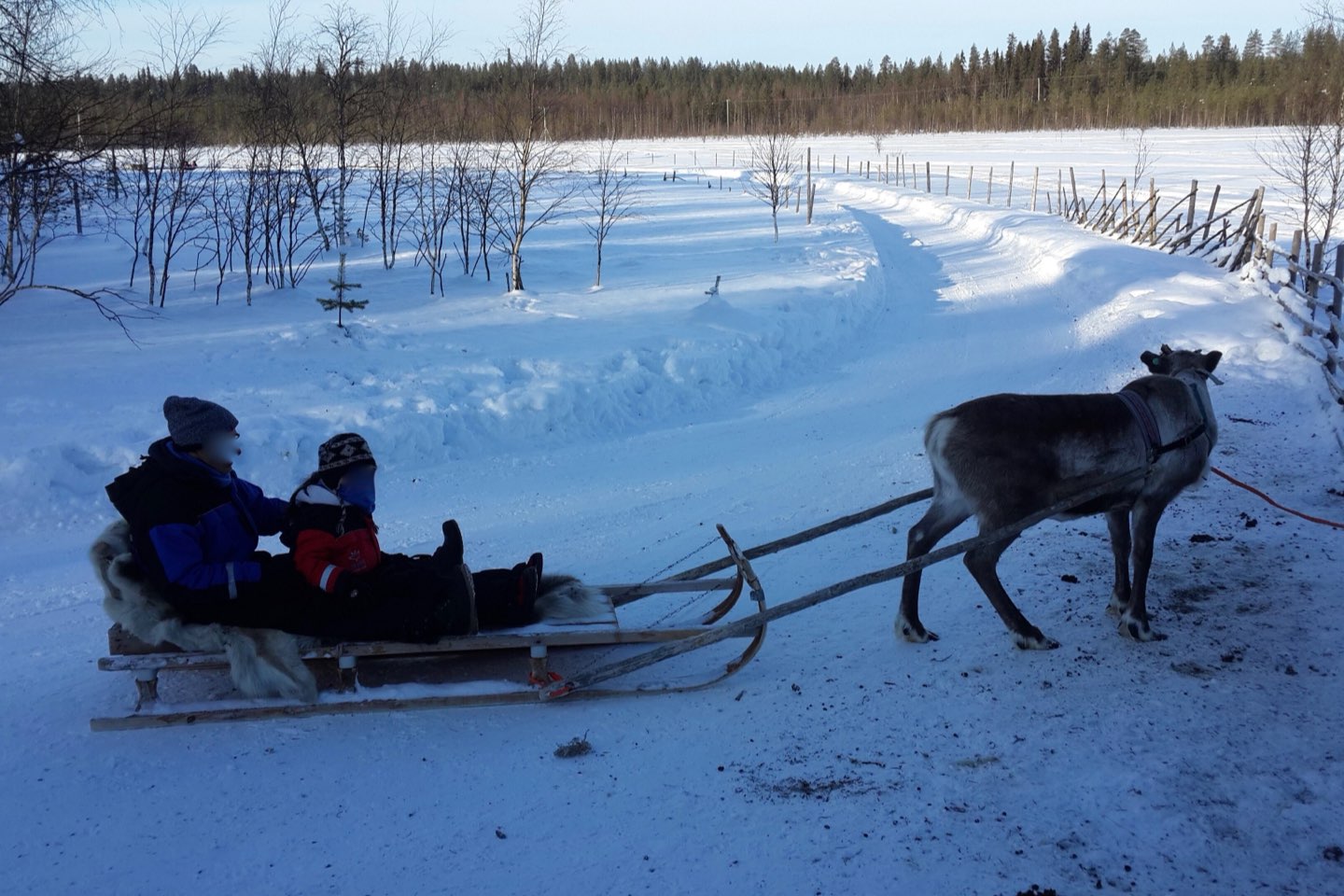 Two children in a wooden sleigh pulled by a reindeer along a snowy track