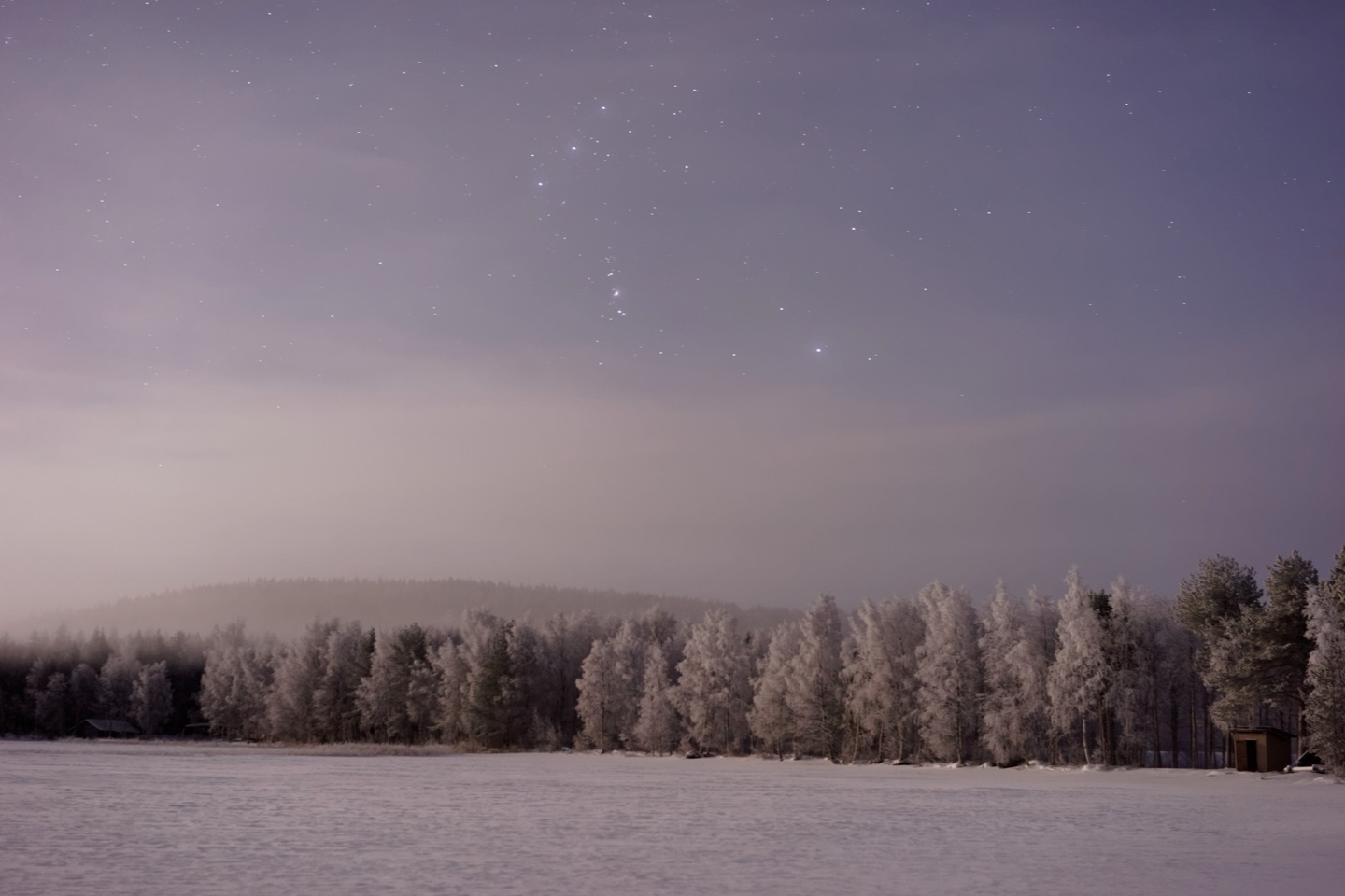 Frost-covered trees along a frozen lake under a starry winter sky