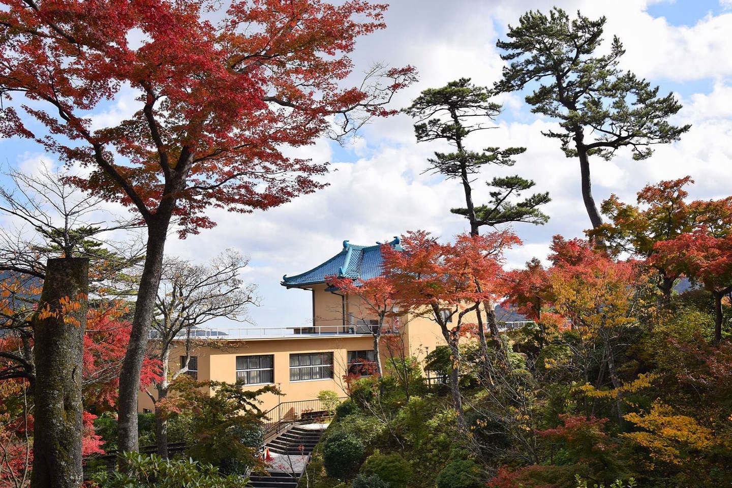 A traditional ryokan among trees in Hakone