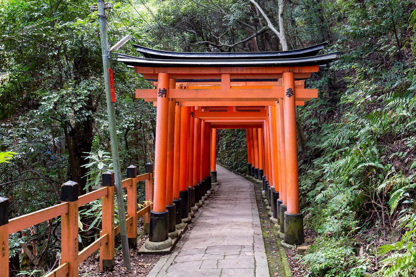 Vermilion torii gates lining a path at Fushimi Inari, Kyoto