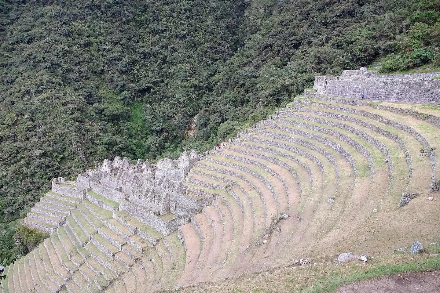 The terraces of Wiñay Wayna