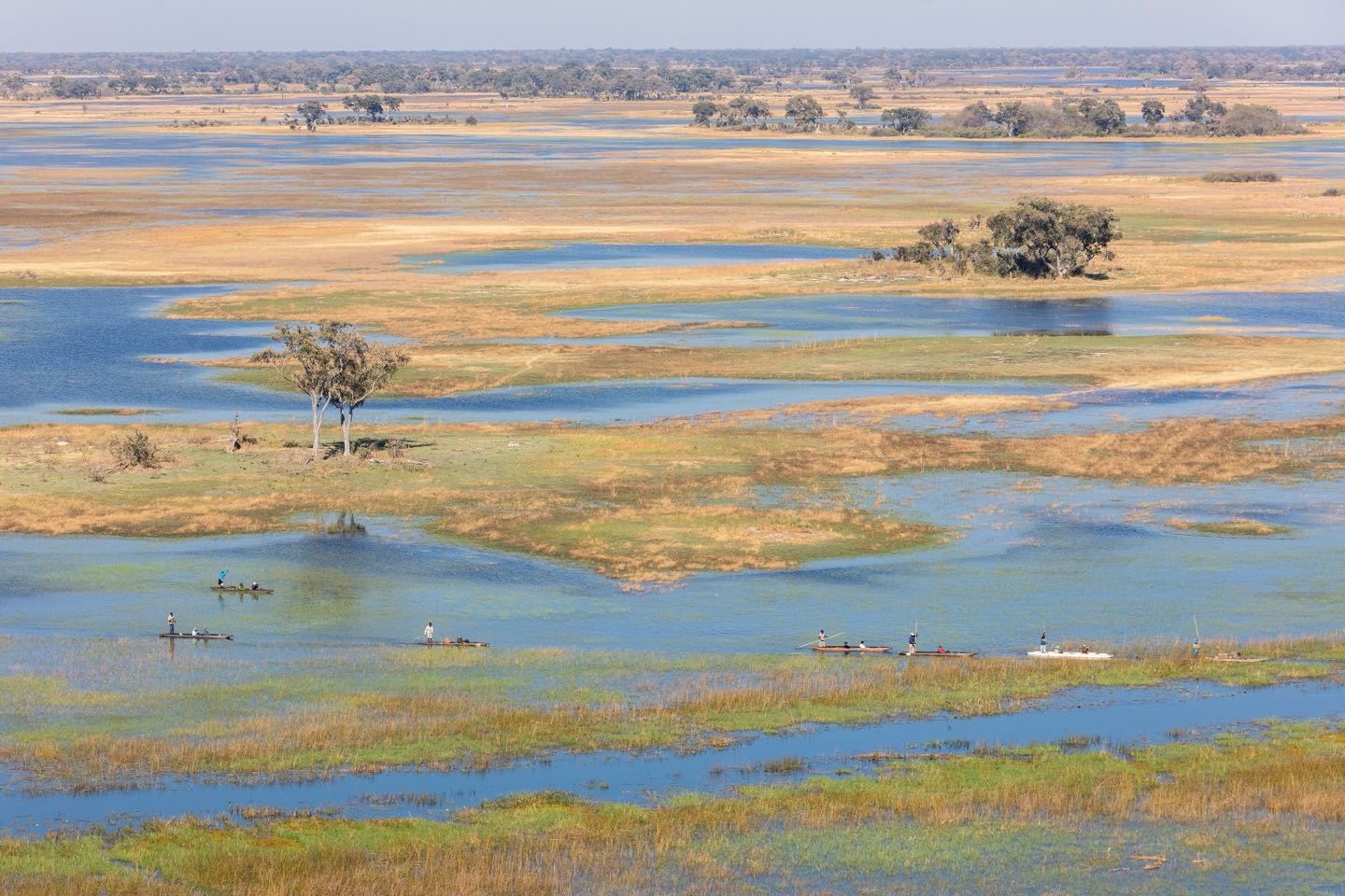 Aerial view of channels, islands and floodplains in the Okavango Delta, with a line of mokoros